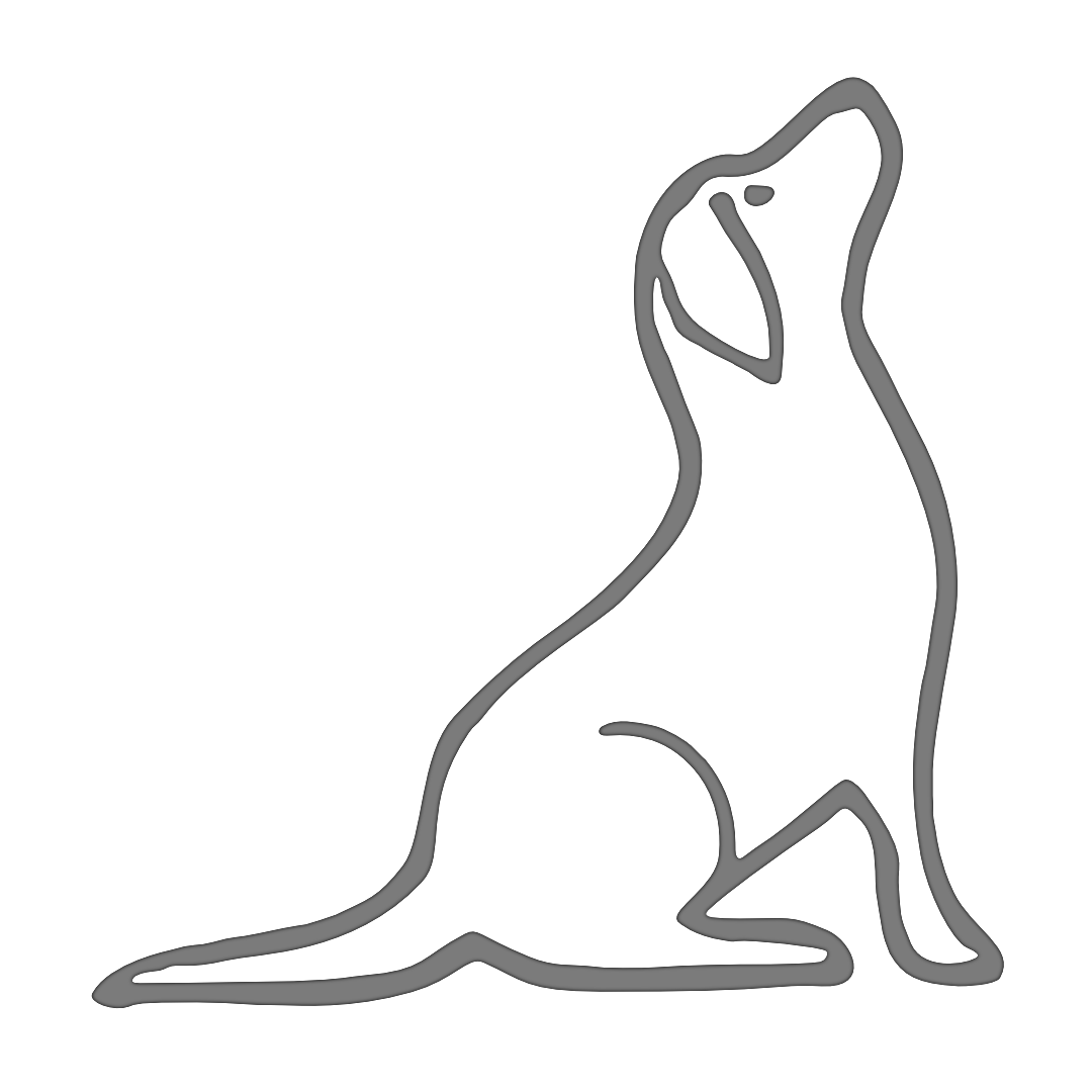 Hondenschool Stadspark